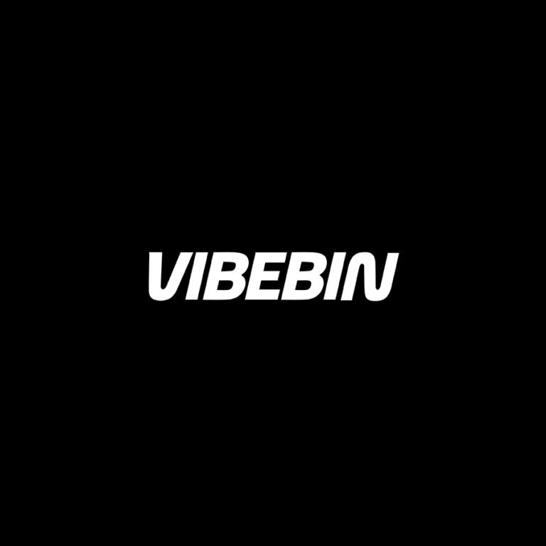 VIBEBIN