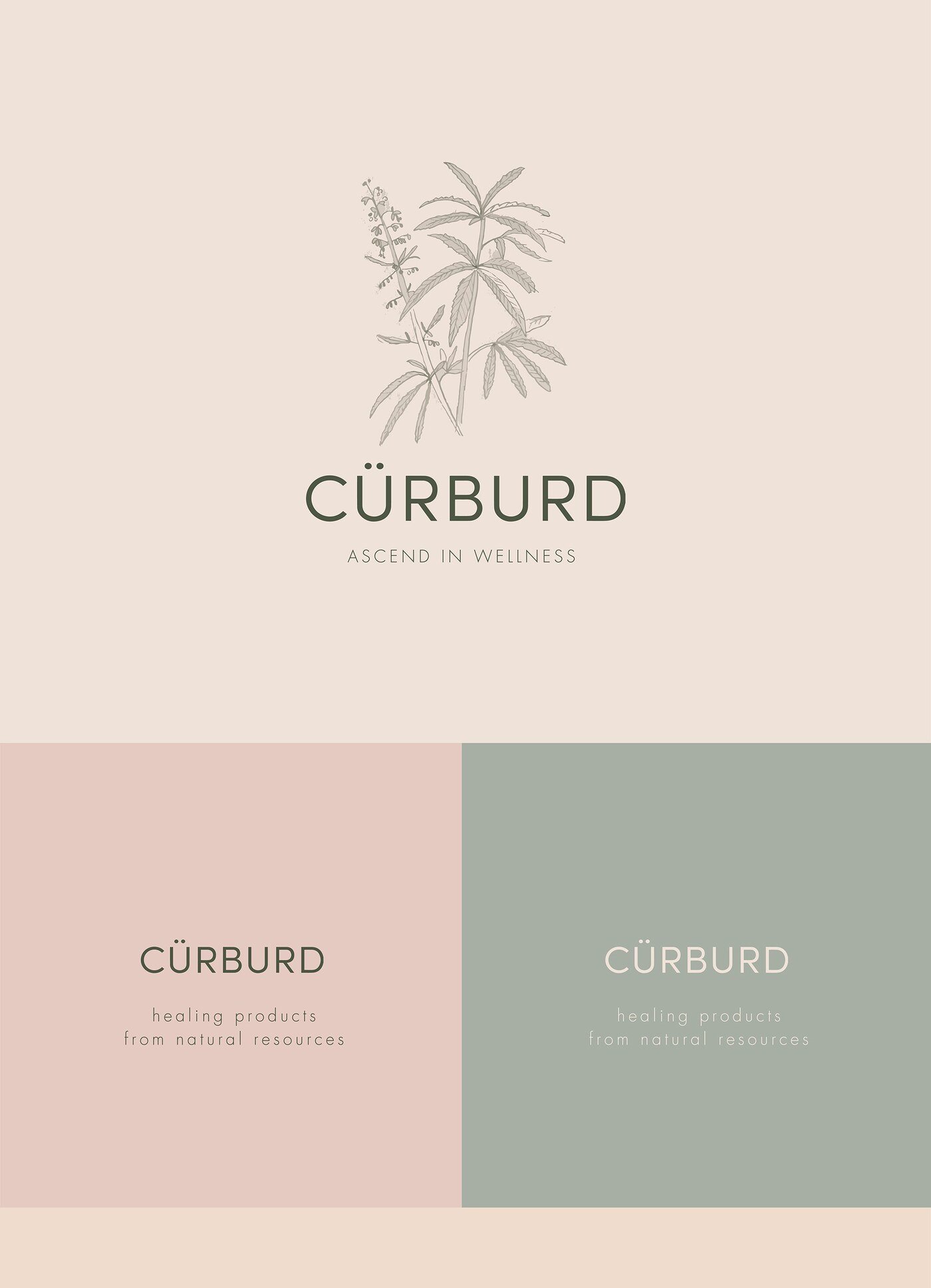 CURBURD — identidad de marca por Eva Hilla Studio