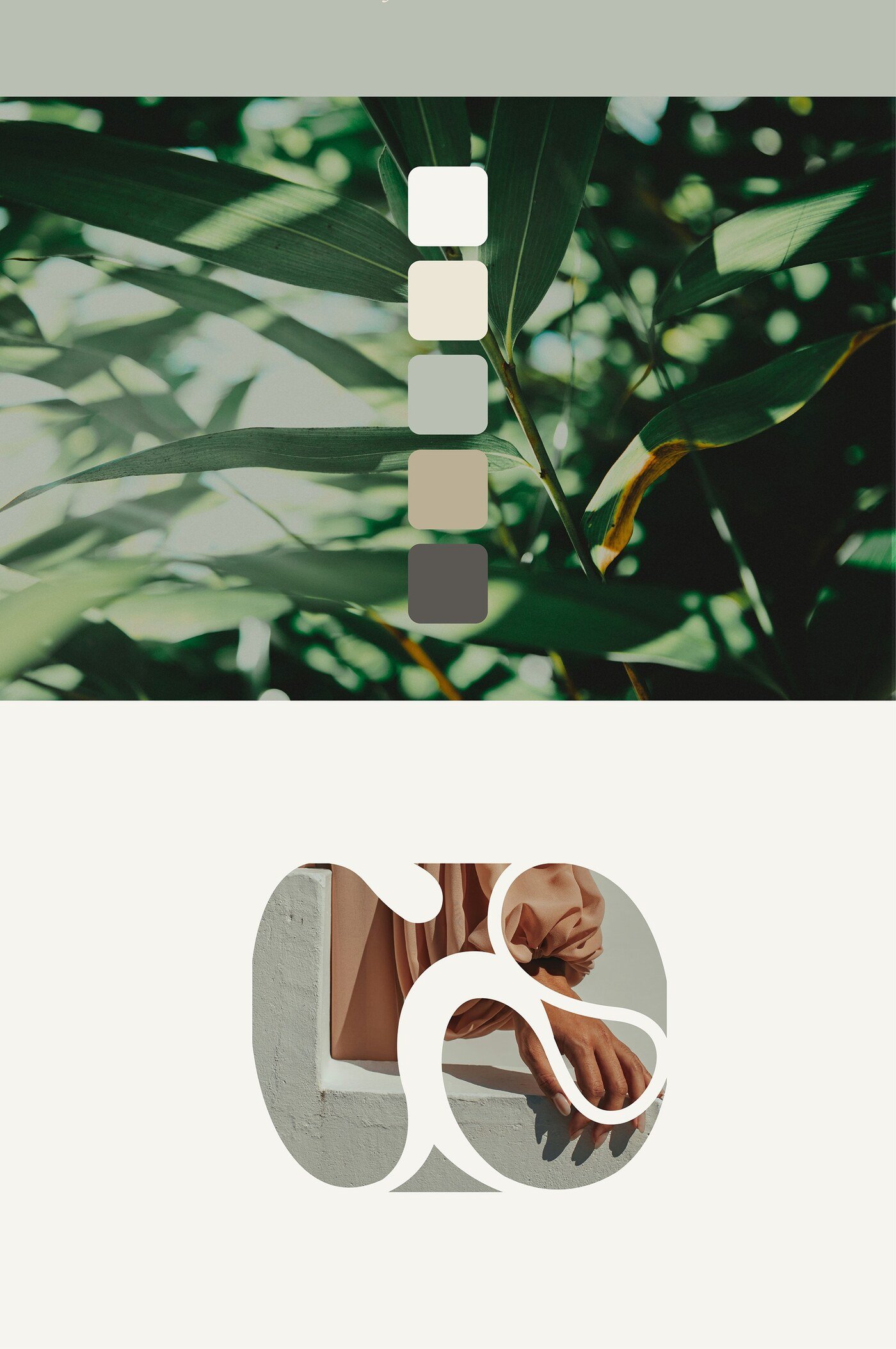 Identidad de marca de ropa sostenible inspirada en la naturaleza Ecobree por Eva Hilla Studio