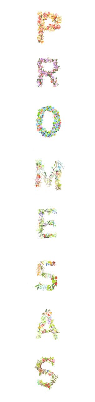 Promesas de Tierra — ilustración y estampados por Eva Hilla Studio