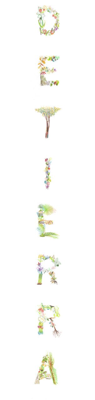 Promesas de Tierra — ilustración y estampados por Eva Hilla Studio