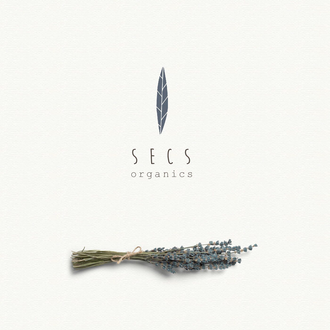 Identidad de marca de cosmetica natural SECS Organics por Eva Hilla Studio